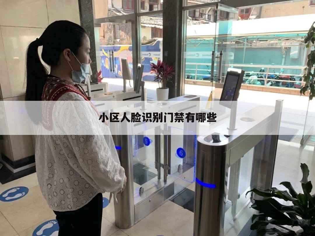 小区人脸识别门禁有哪些
