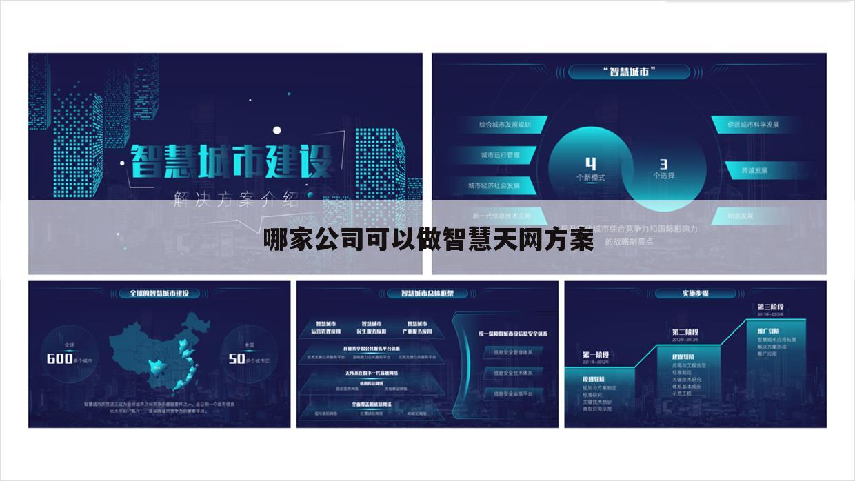 哪家公司可以做智慧天网方案