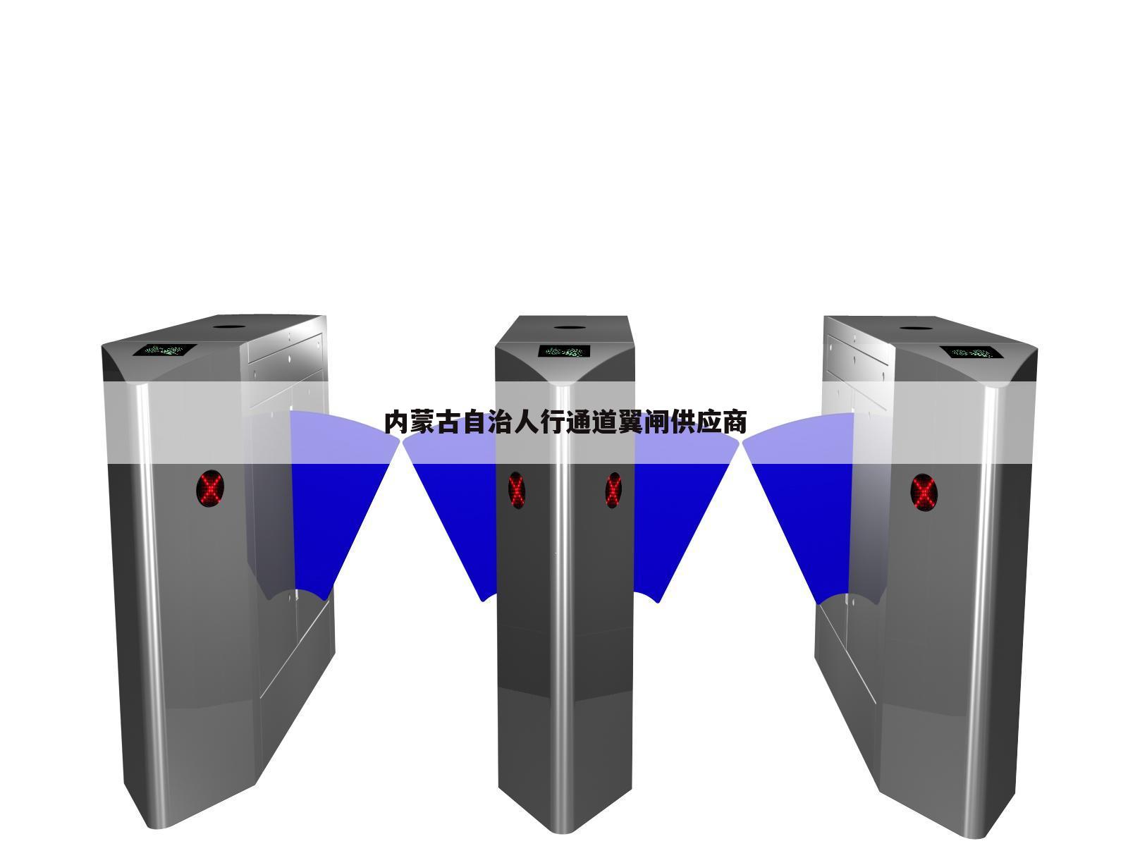 内蒙古自治人行通道翼闸供应商