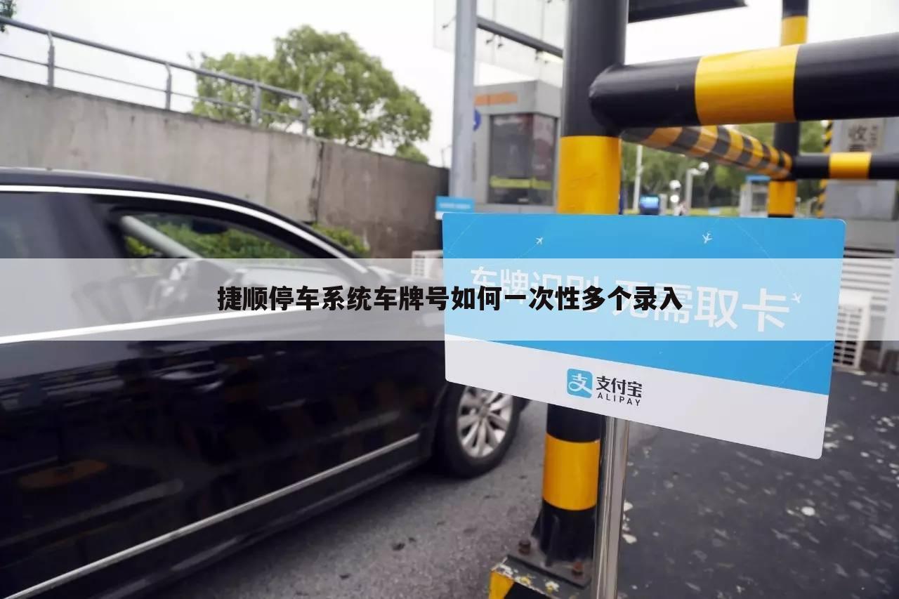 捷顺停车系统车牌号如何一次性多个录入
