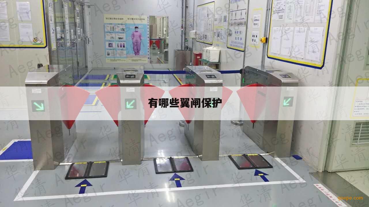有哪些翼闸保护