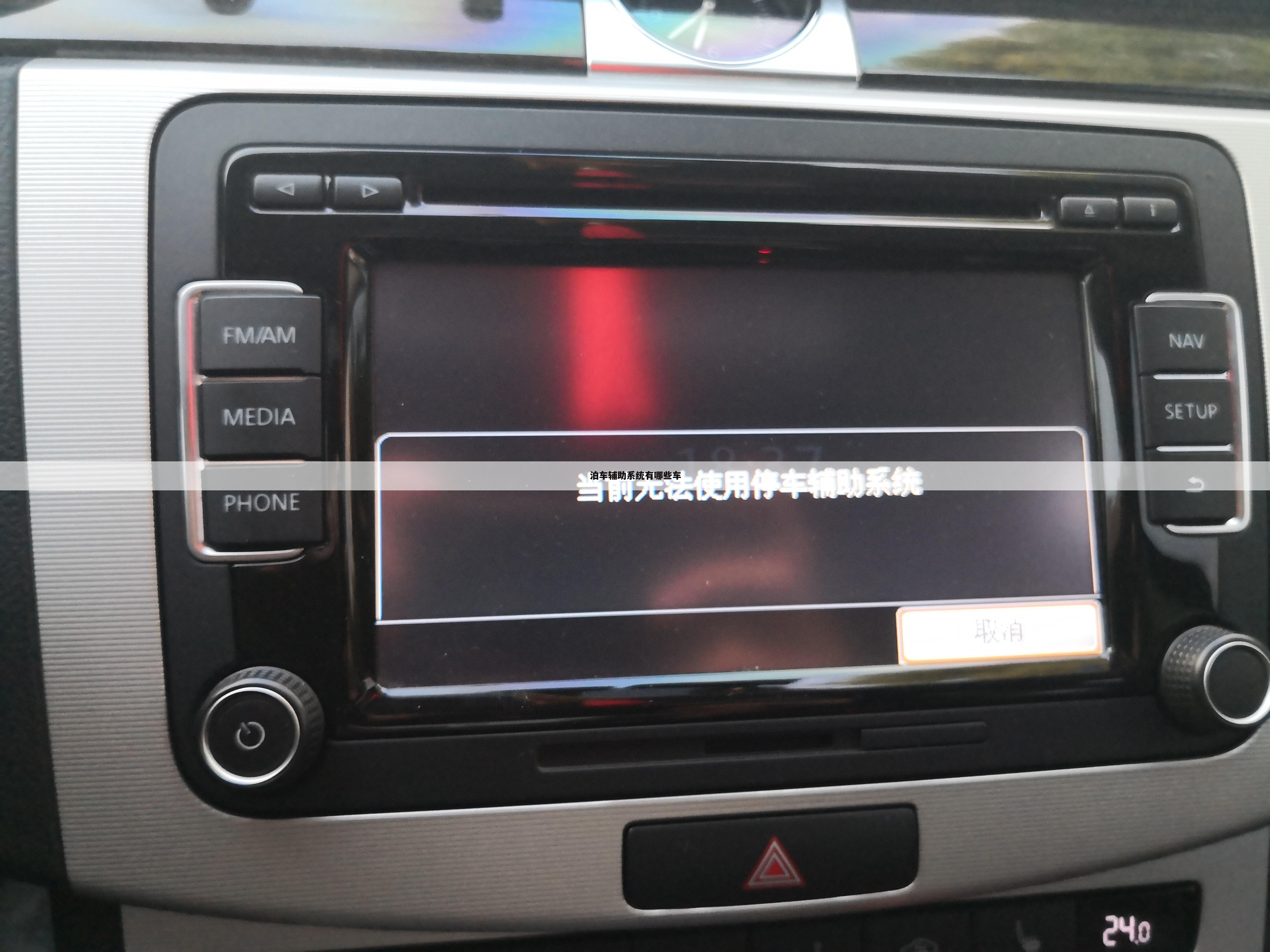 泊车辅助系统有哪些车