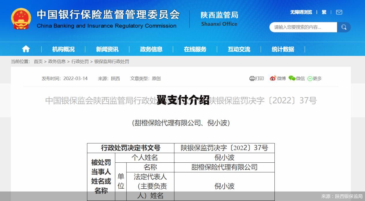 翼支付介绍