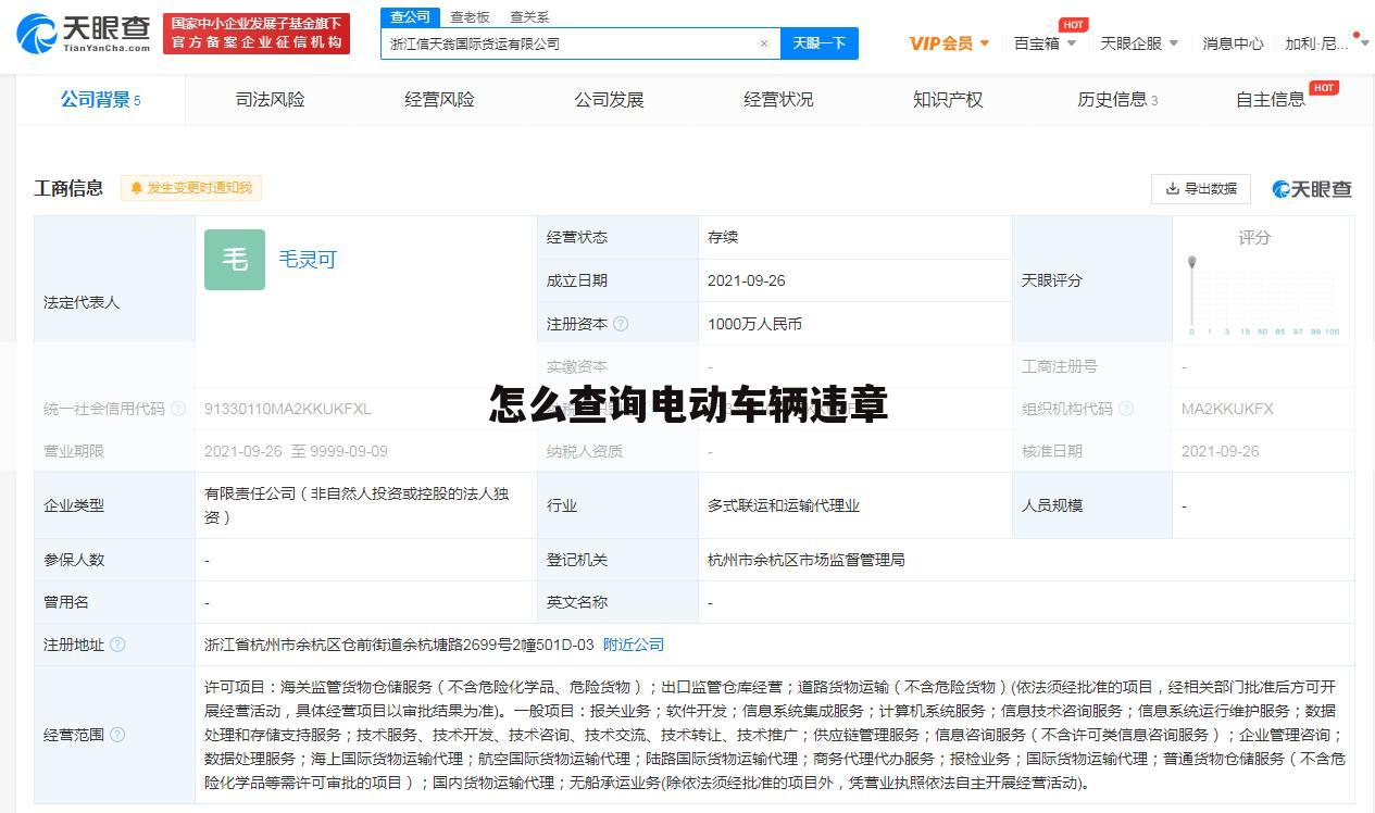 怎么查询电动车辆违章
