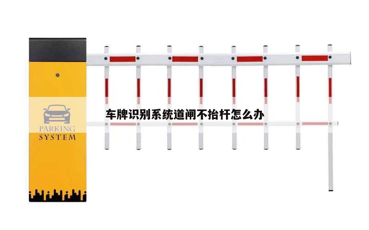 车牌识别系统道闸不抬杆怎么办