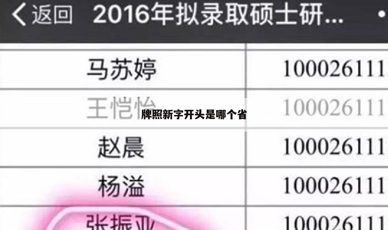 牌照新字开头是哪个省