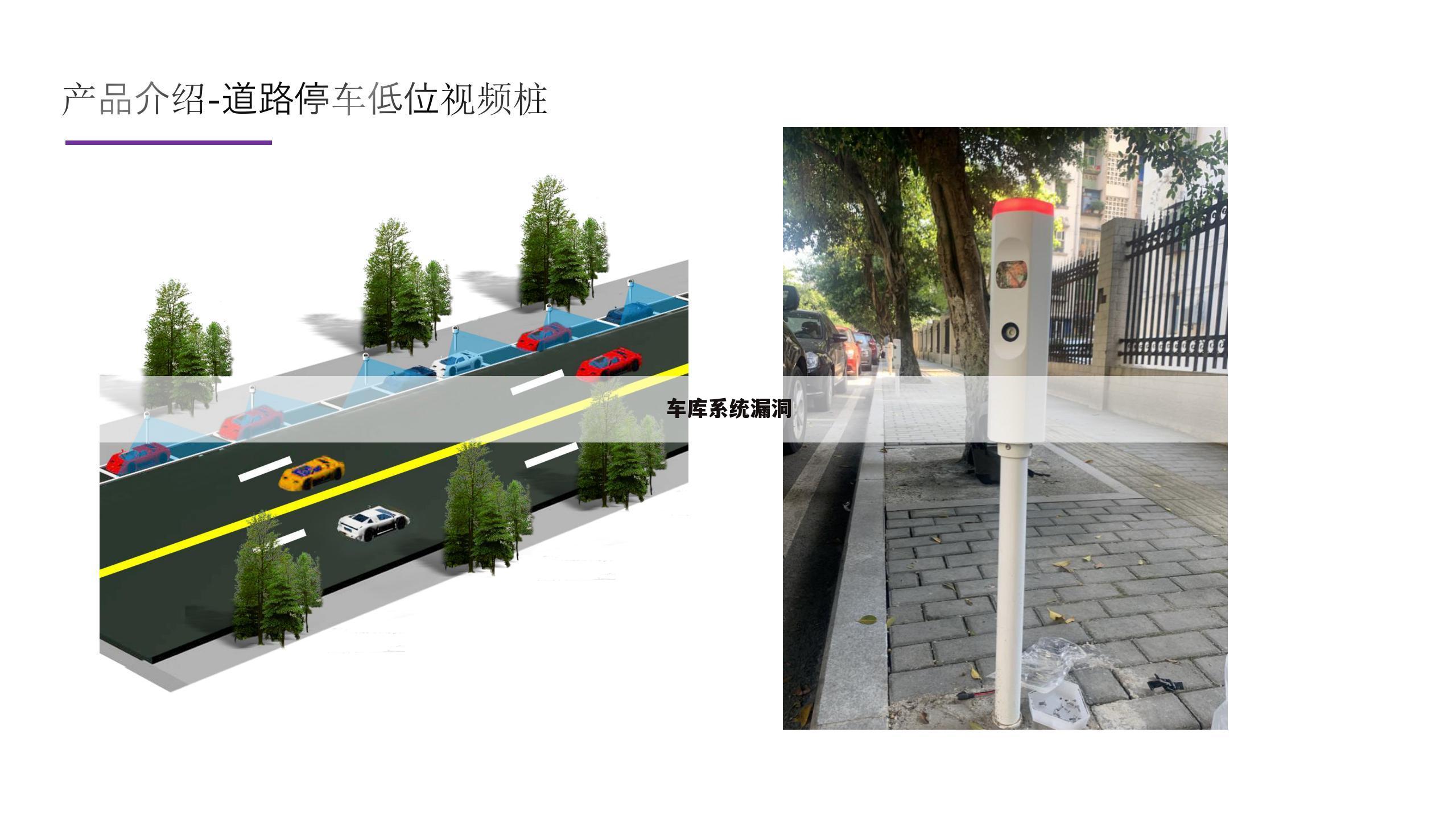 车库系统漏洞