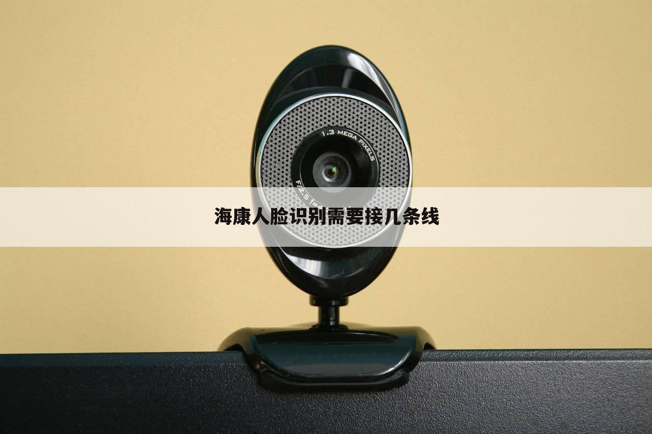 海康人脸识别需要接几条线