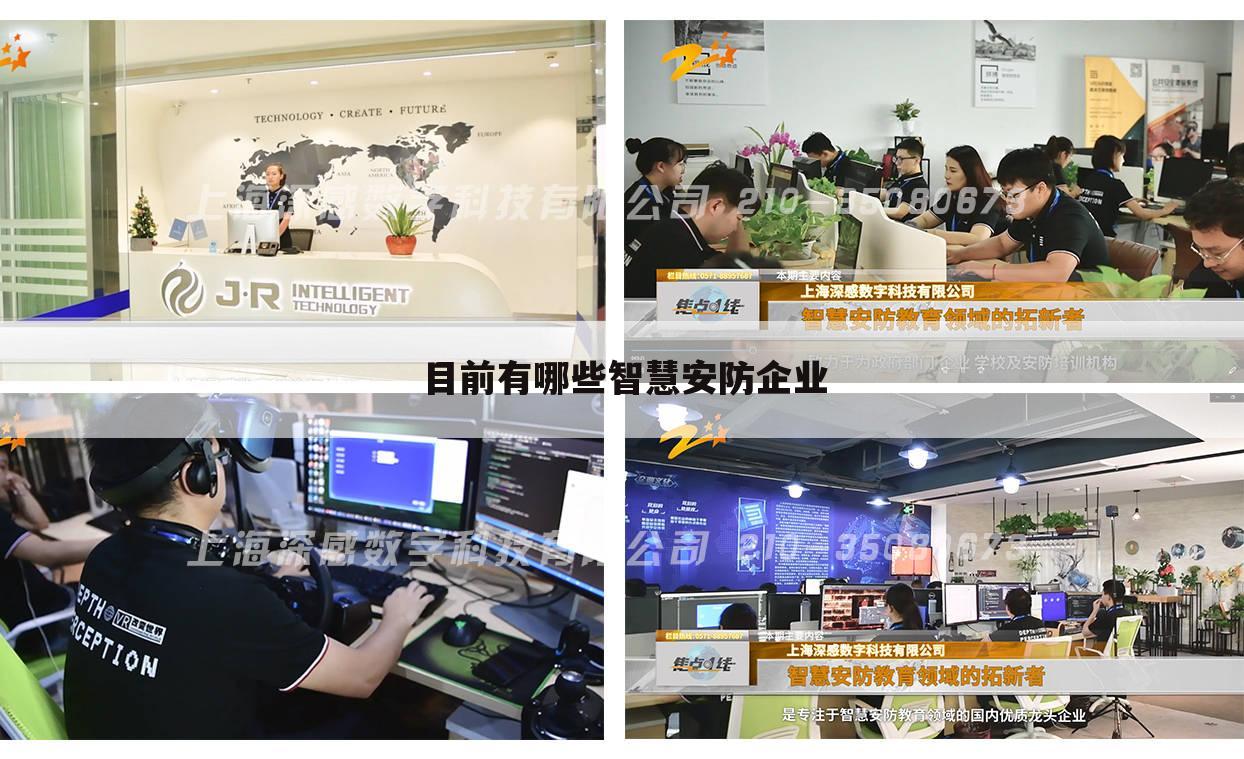 目前有哪些智慧安防企业