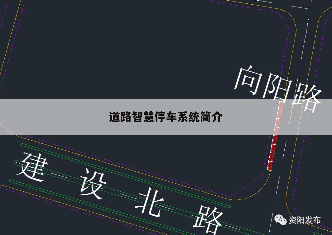 道路智慧停车系统简介
