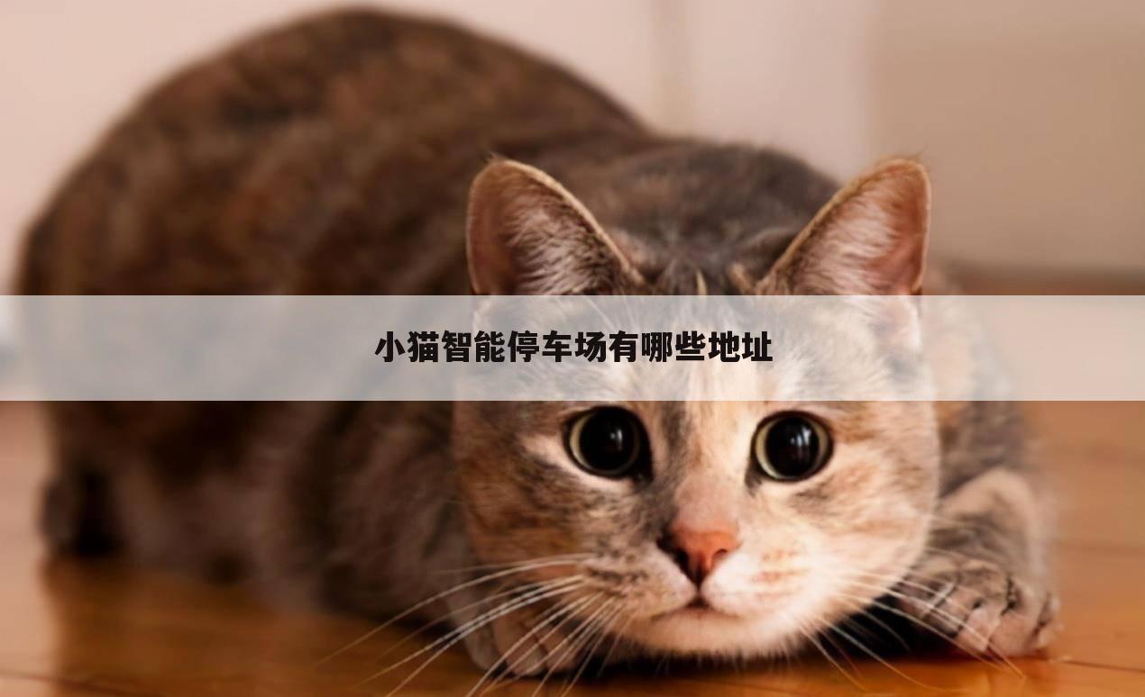 小猫智能停车场有哪些地址