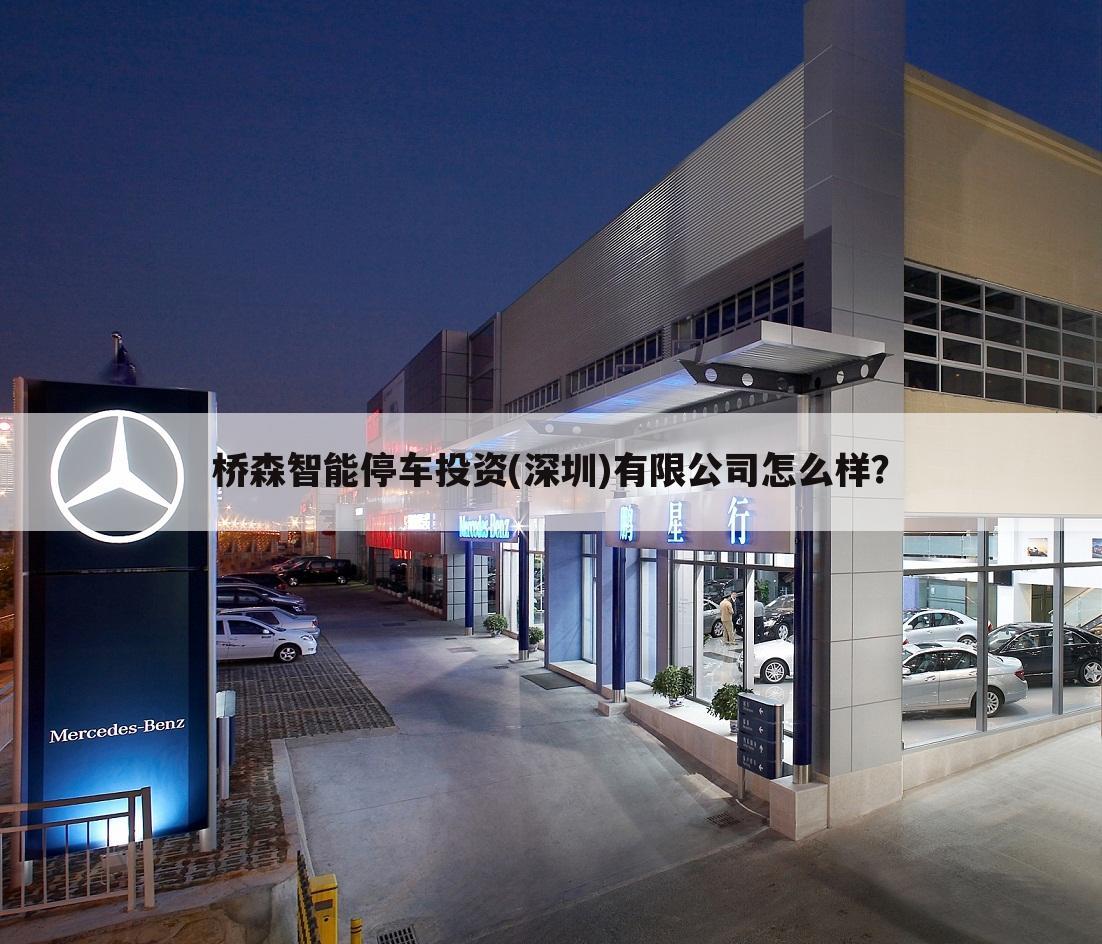 桥森智能停车投资(深圳)有限公司怎么样?