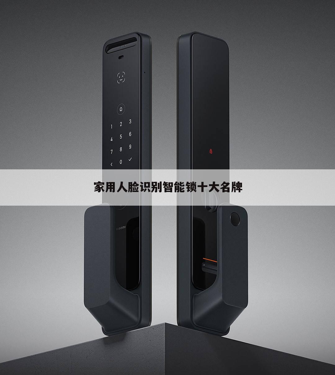 家用人脸识别智能锁十大名牌