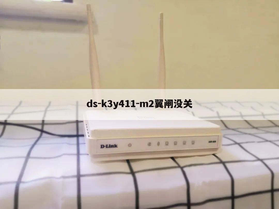 ds-k3y411-m2翼闸没关