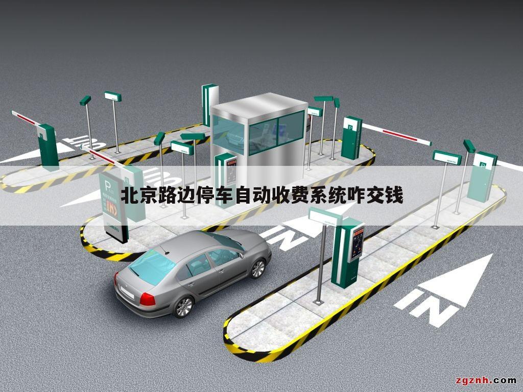 北京路边停车自动收费系统咋交钱