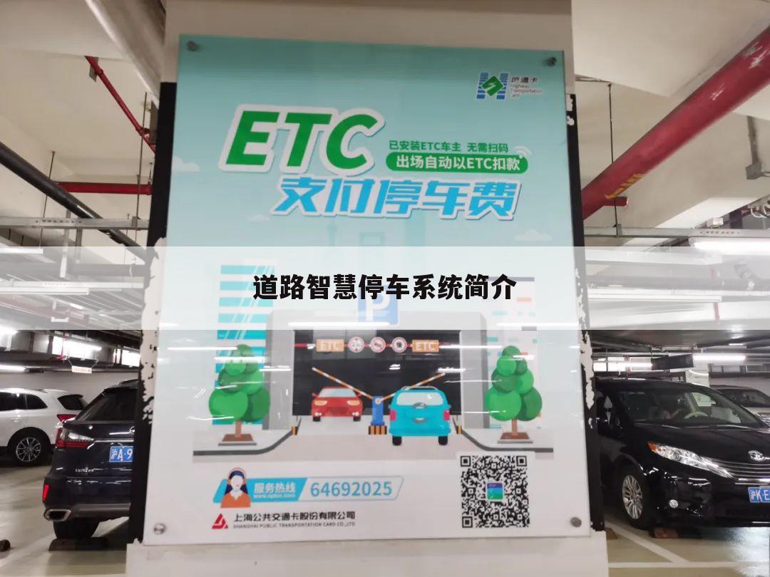 道路智慧停车系统简介