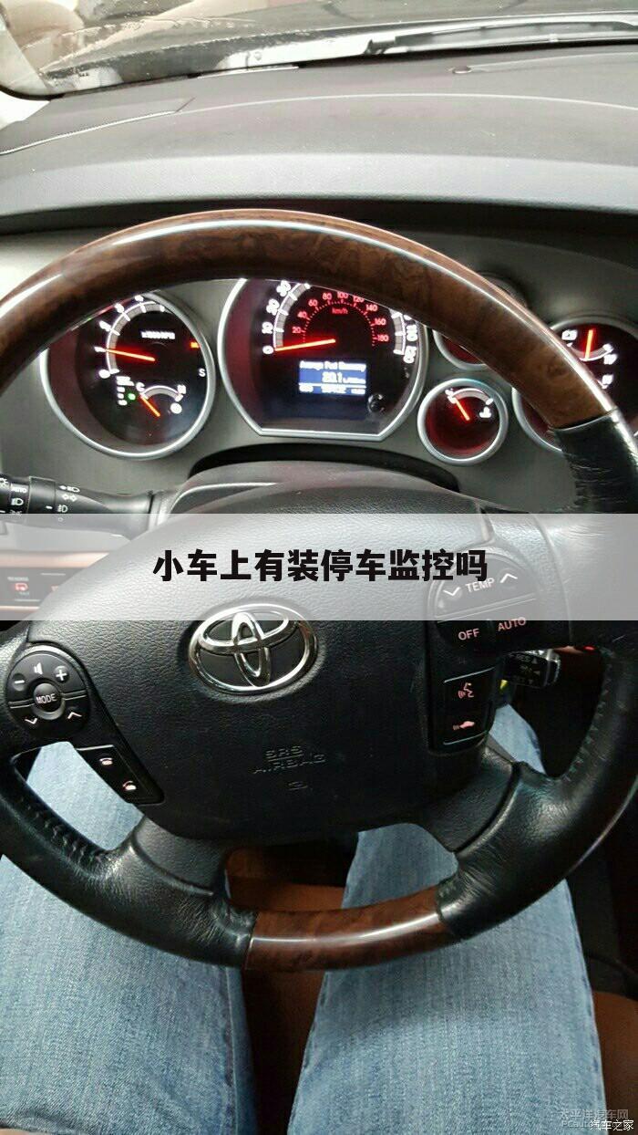 小车上有装停车监控吗