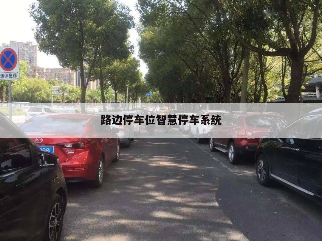 路边停车位智慧停车系统