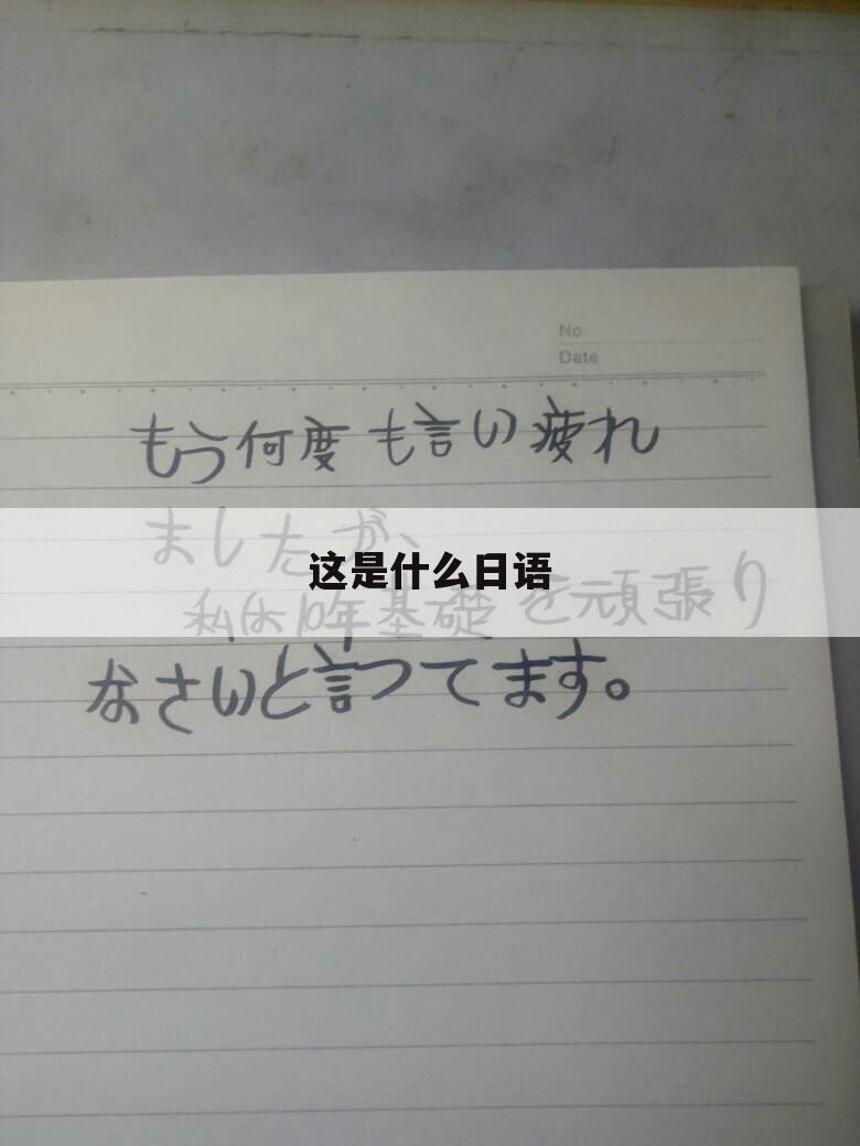 这是什么日语