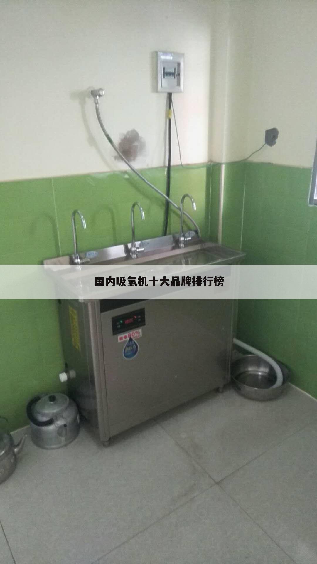 国内吸氢机十大品牌排行榜