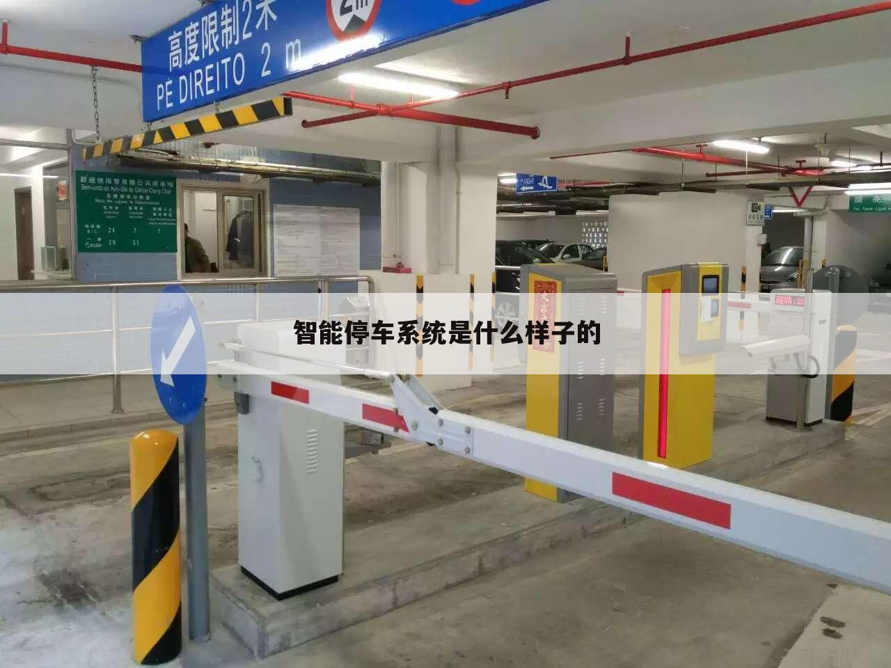 智能停车系统是什么样子的