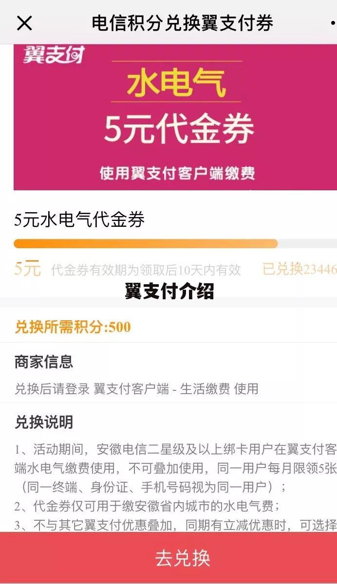 翼支付介绍