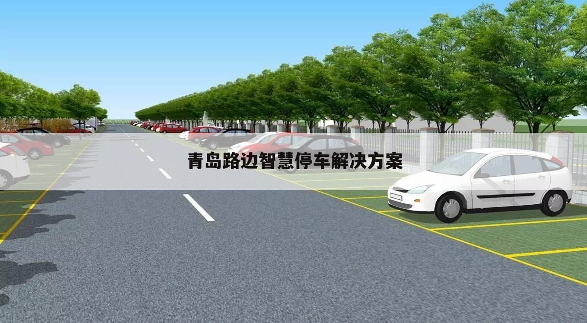 青岛路边智慧停车解决方案