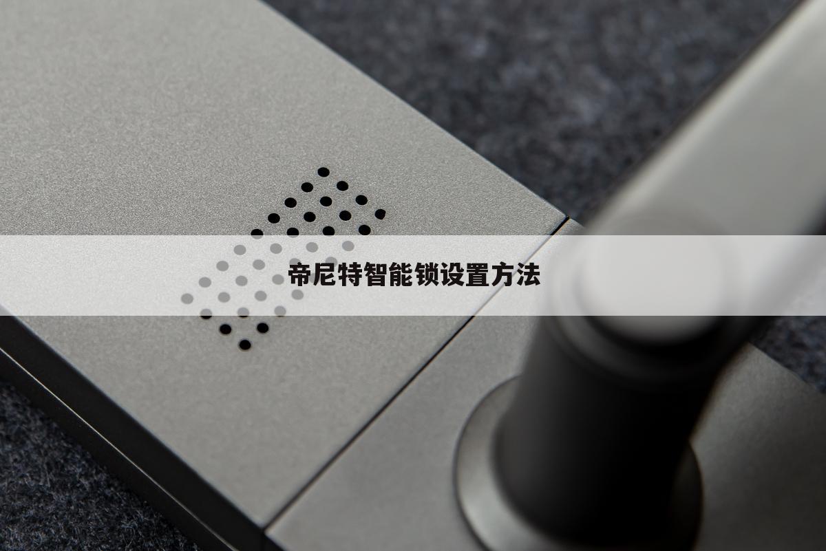 帝尼特智能锁设置方法