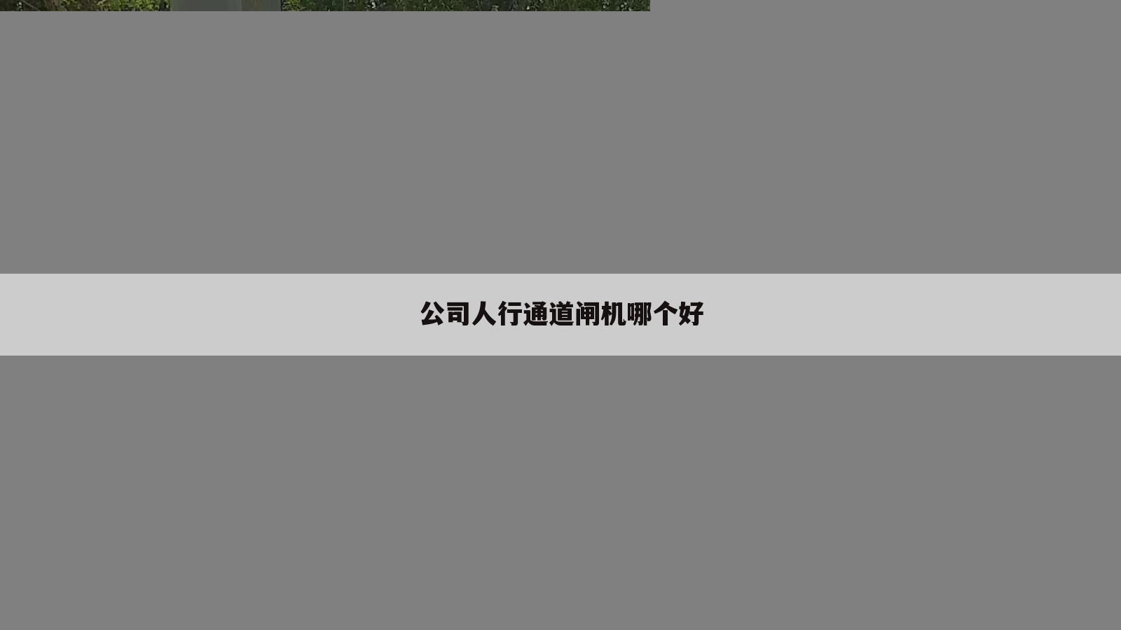 公司人行通道闸机哪个好