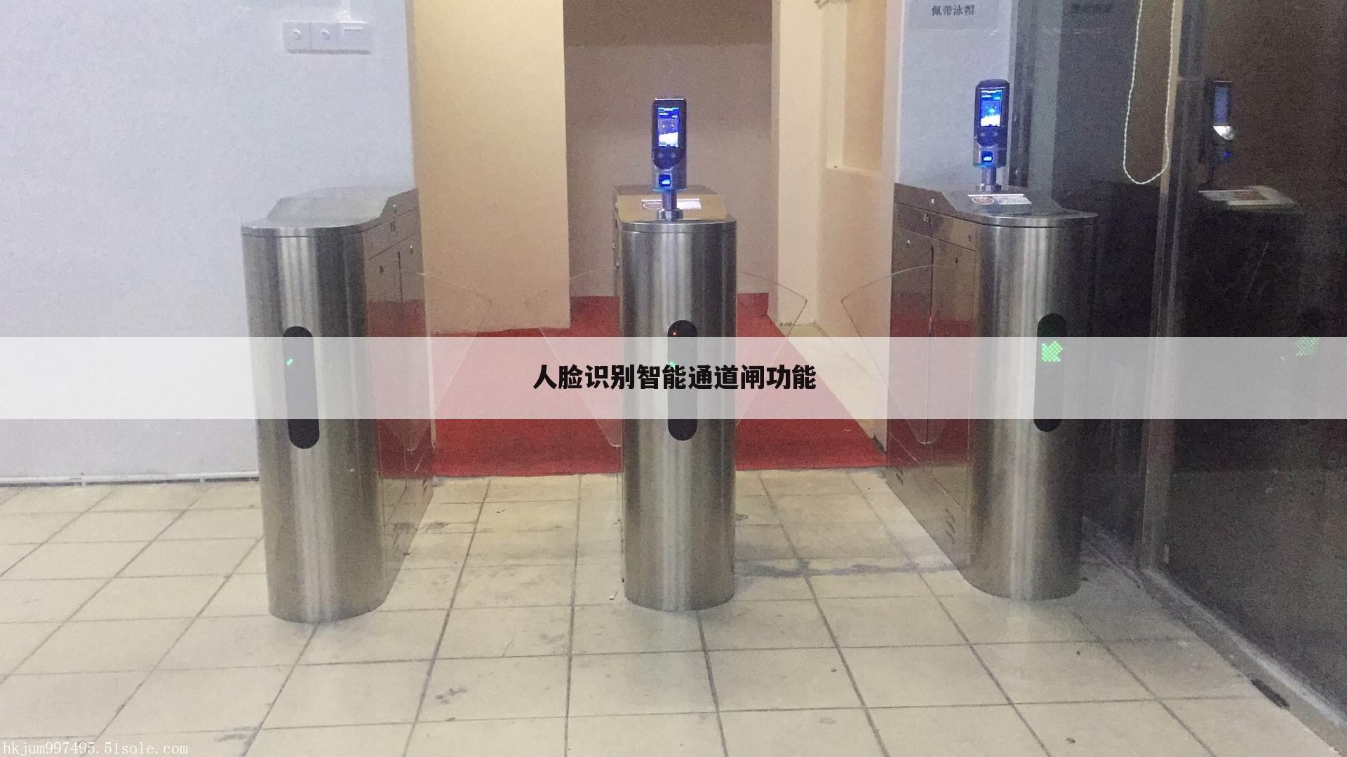 人脸识别智能通道闸功能