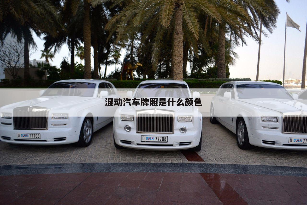 混动汽车牌照是什么颜色