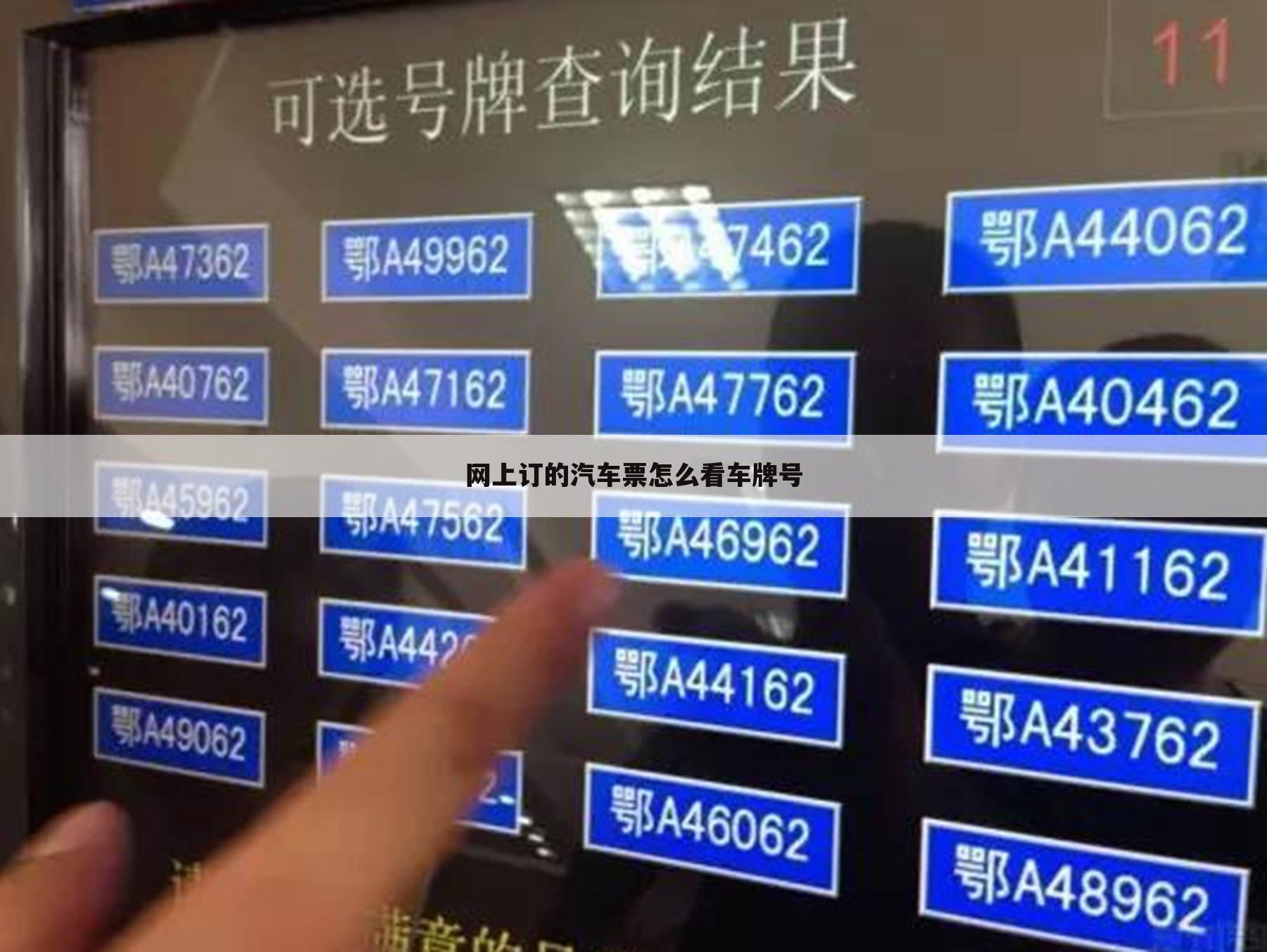 网上订的汽车票怎么看车牌号