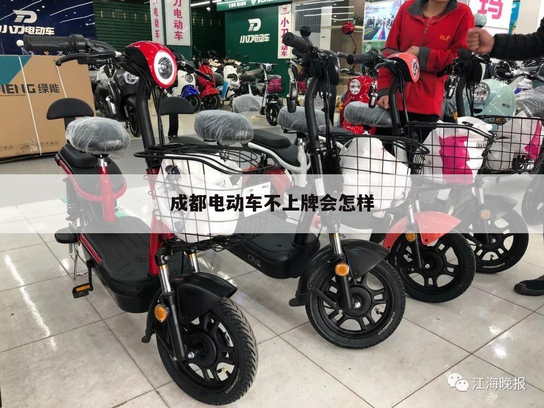 成都电动车不上牌会怎样
