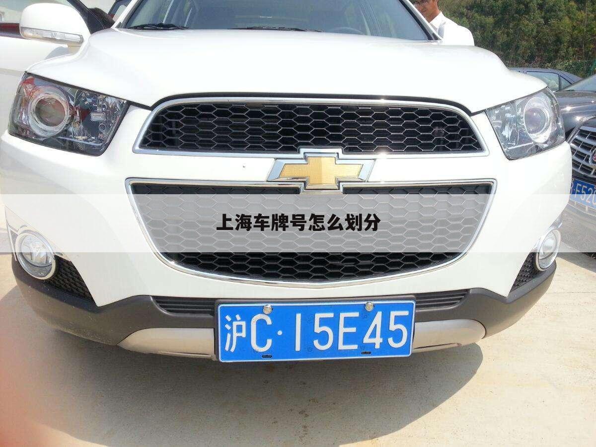 上海车牌号怎么划分