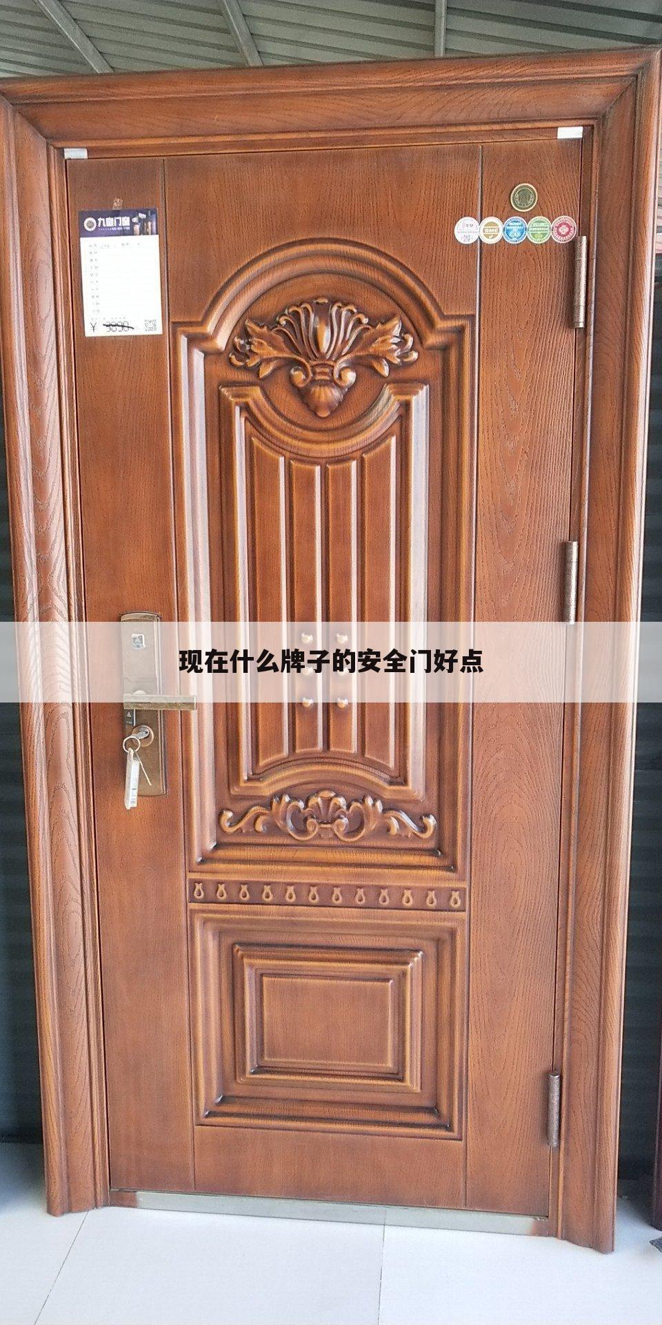 现在什么牌子的安全门好点