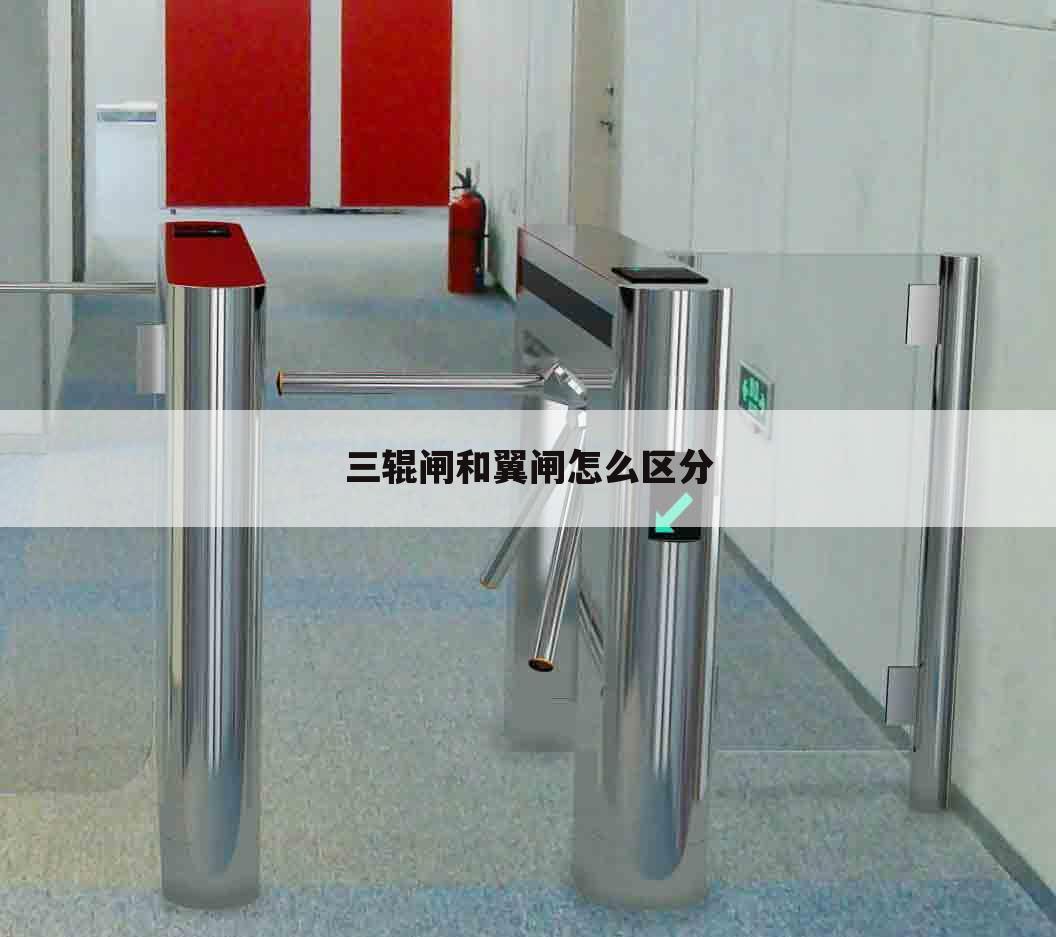 三辊闸和翼闸怎么区分