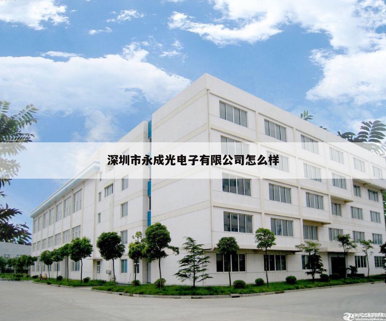 深圳市永成光电子有限公司怎么样