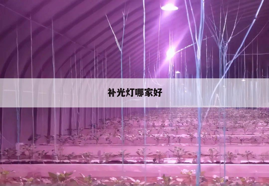 补光灯哪家好