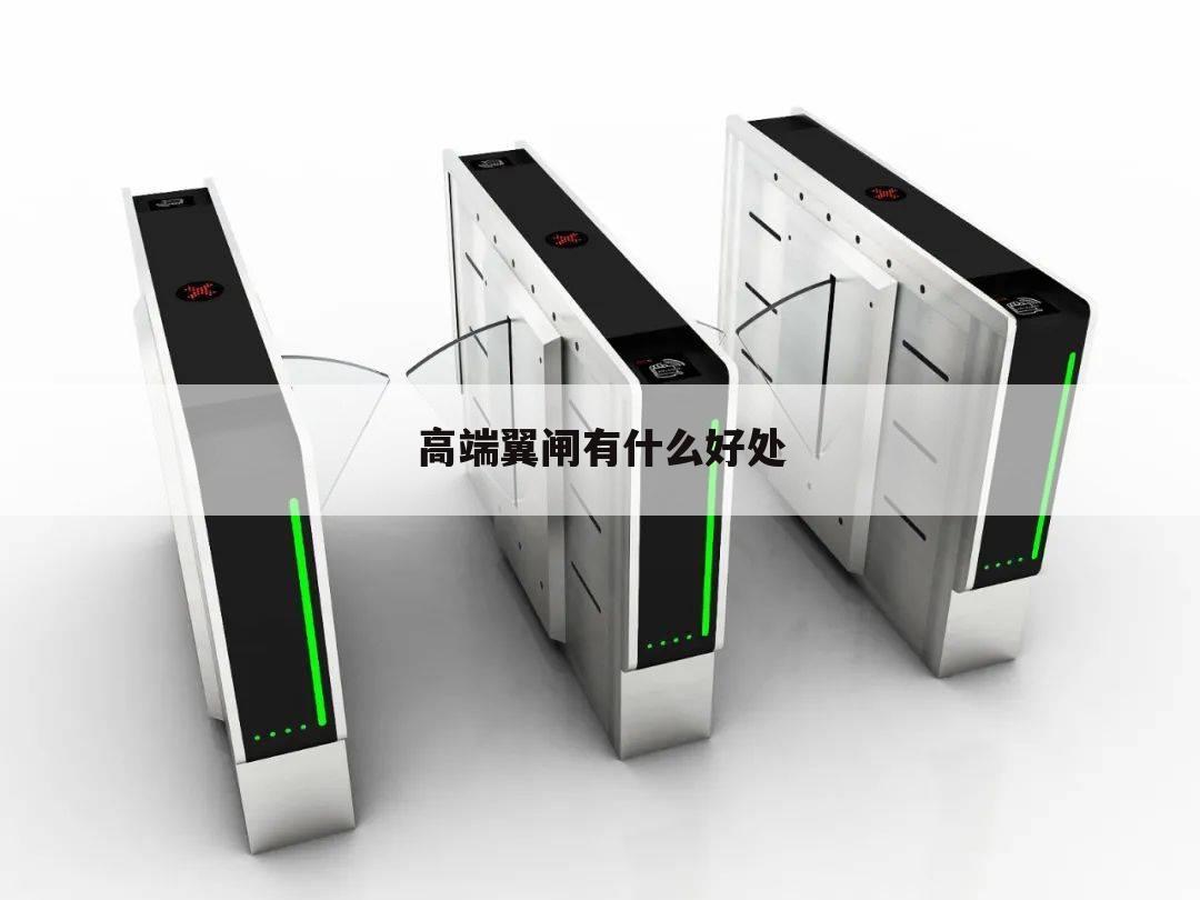 高端翼闸有什么好处
