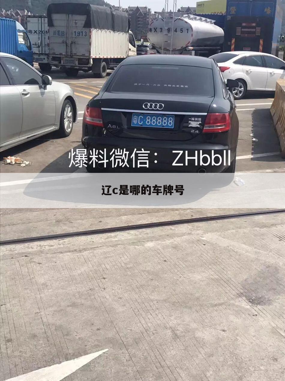 辽c是哪的车牌号