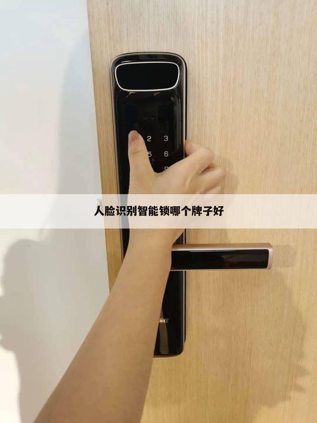 人脸识别智能锁哪个牌子好