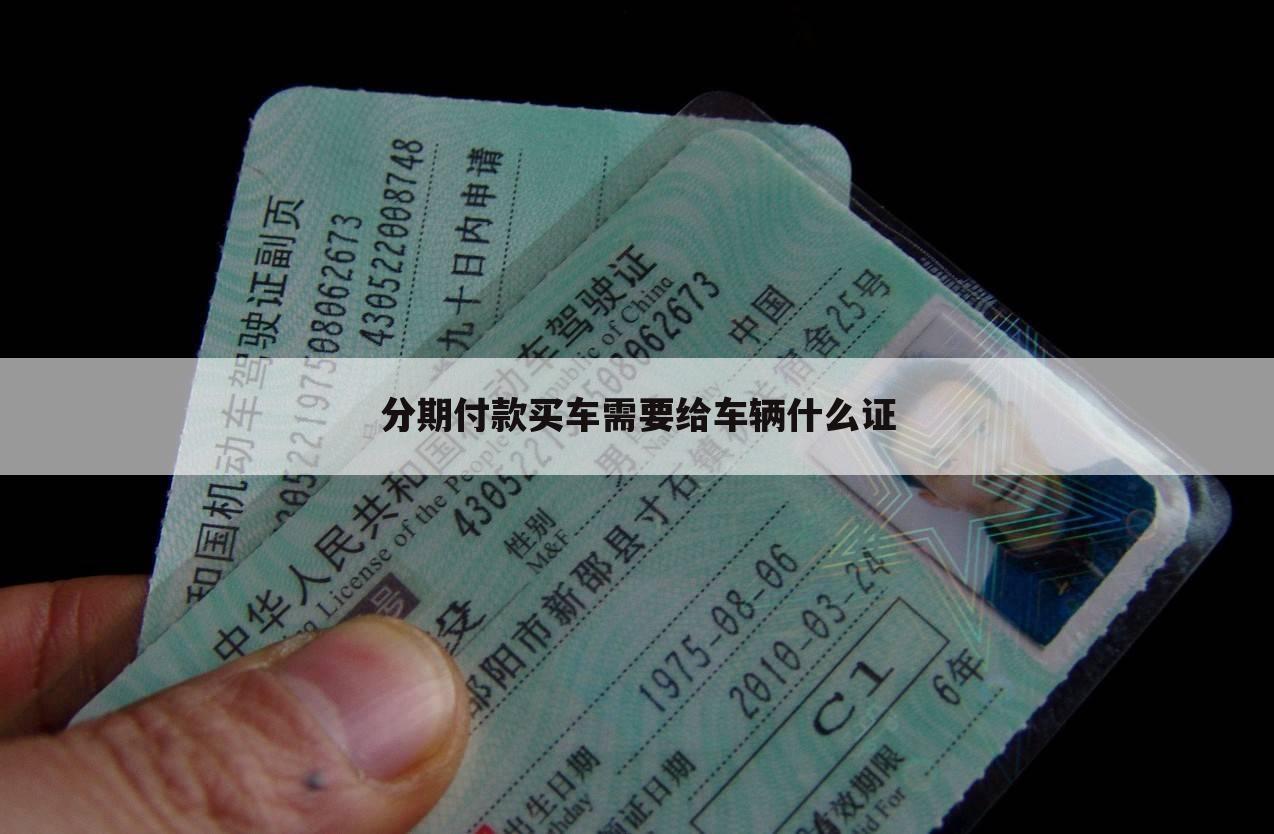 分期付款买车需要给车辆什么证