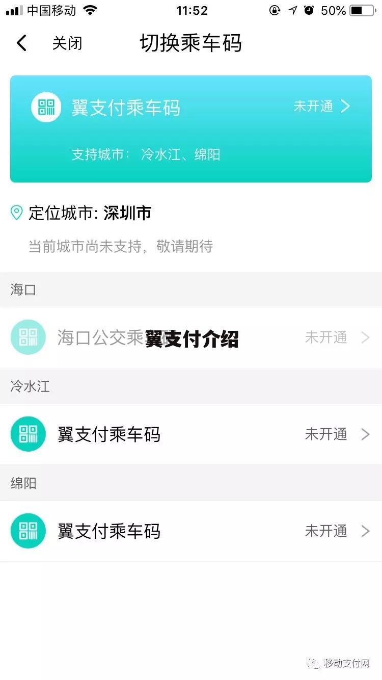 翼支付介绍
