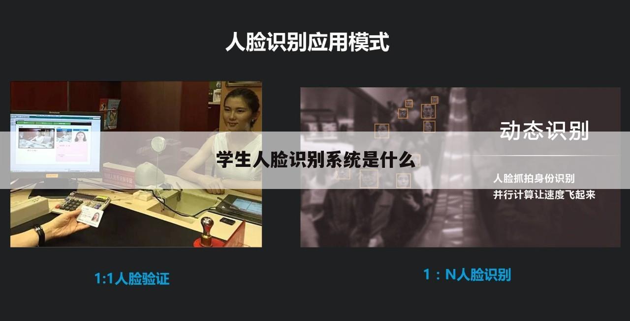 学生人脸识别系统是什么