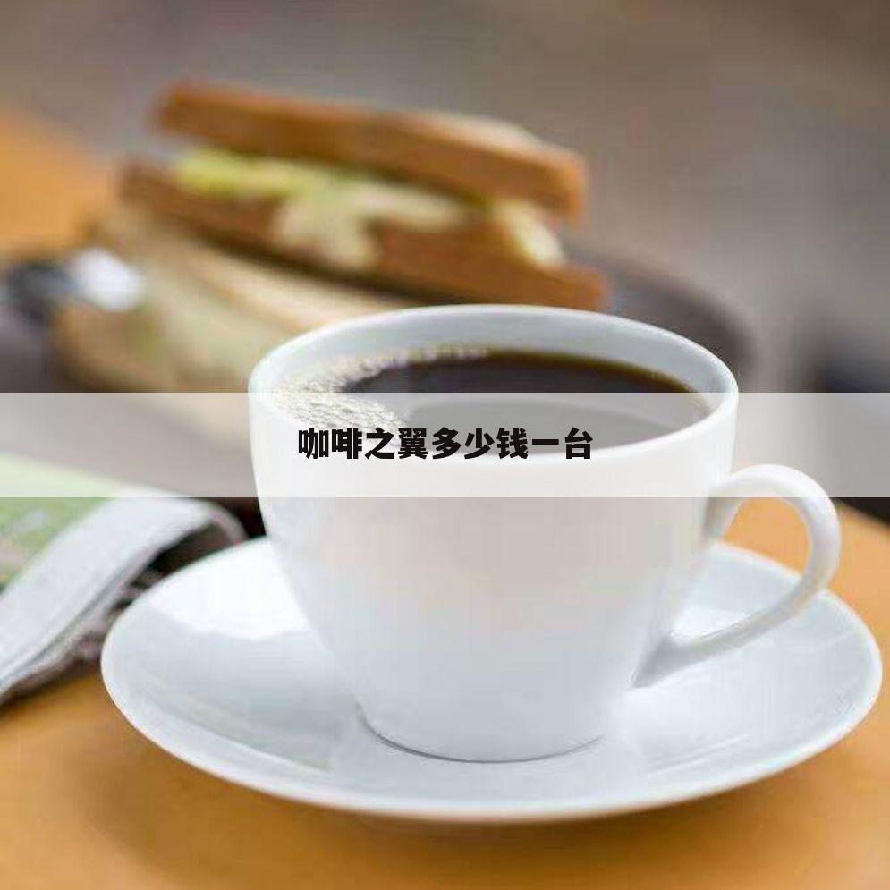 咖啡之翼多少钱一台