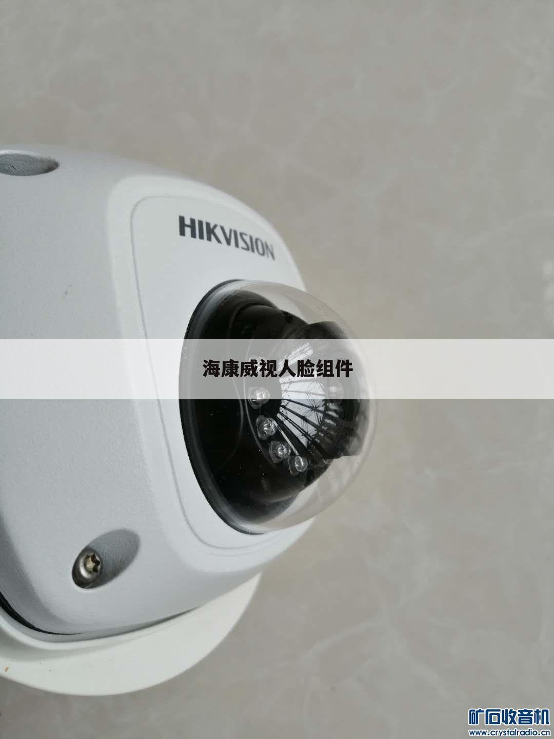 海康威视人脸组件