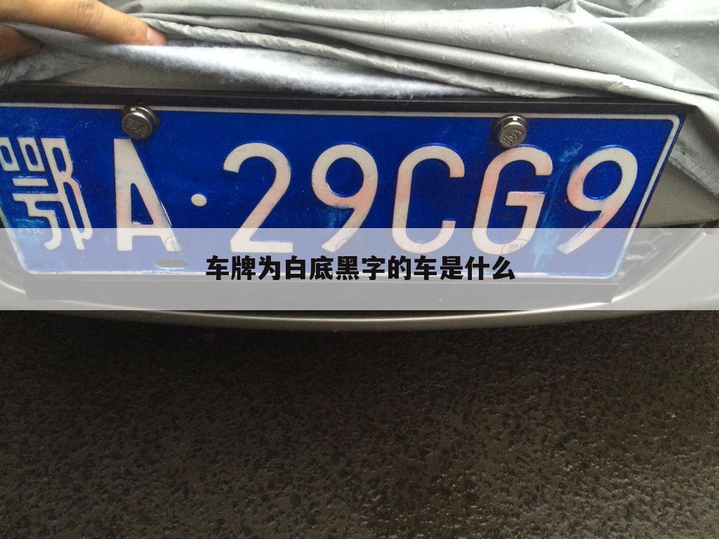 车牌为白底黑字的车是什么