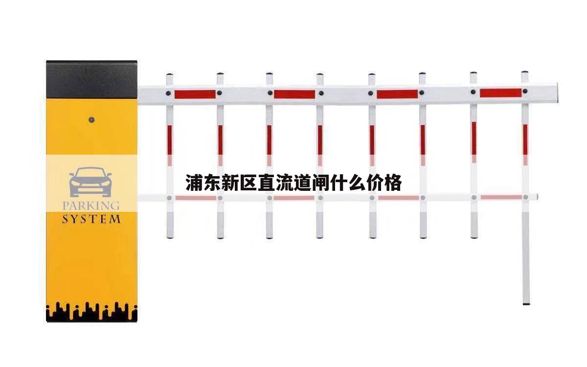 浦东新区直流道闸什么价格