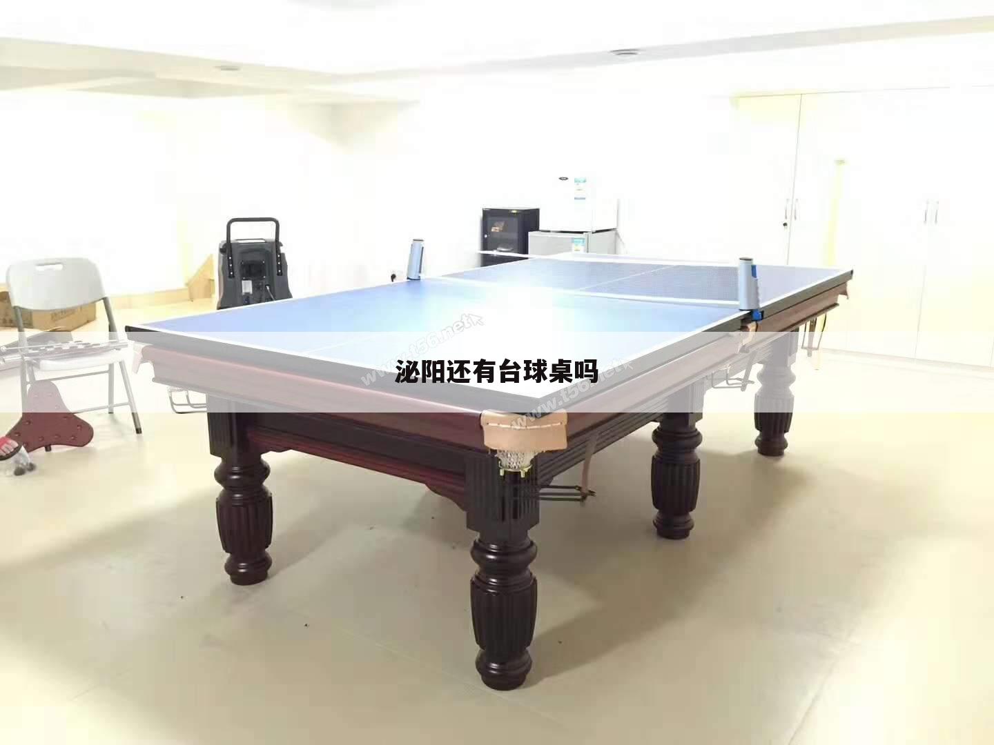 泌阳还有台球桌吗