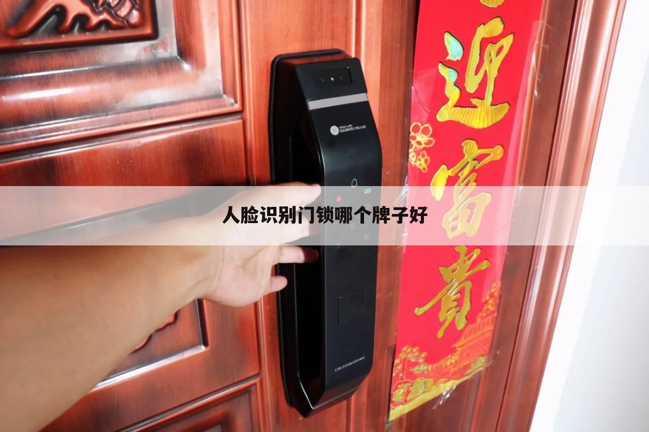 人脸识别门锁哪个牌子好